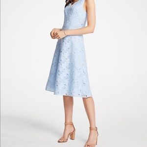 NWT Ann Taylor A-line lace dress, size 2-4, Cinderella blue color
